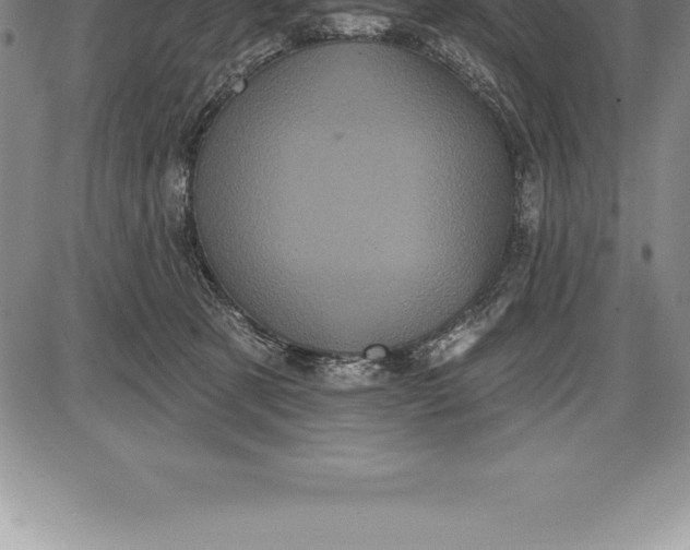 X0000085820321200703301600