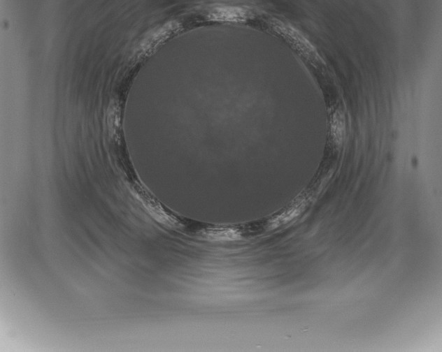 X0000085820322200703301600