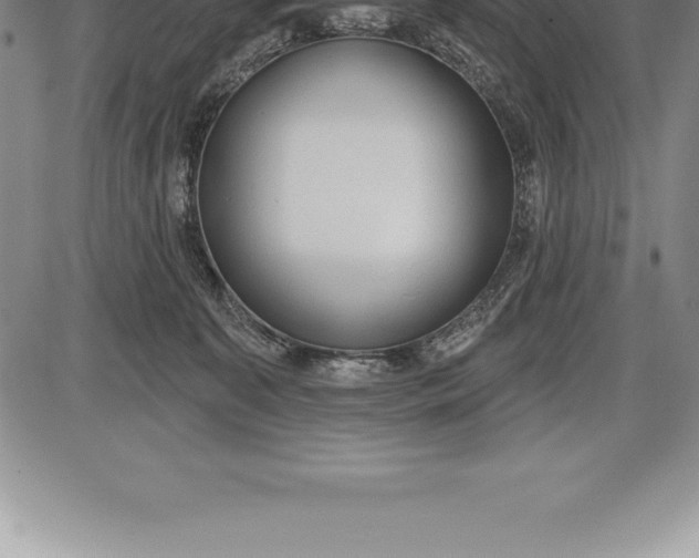 X0000085820323200703301600