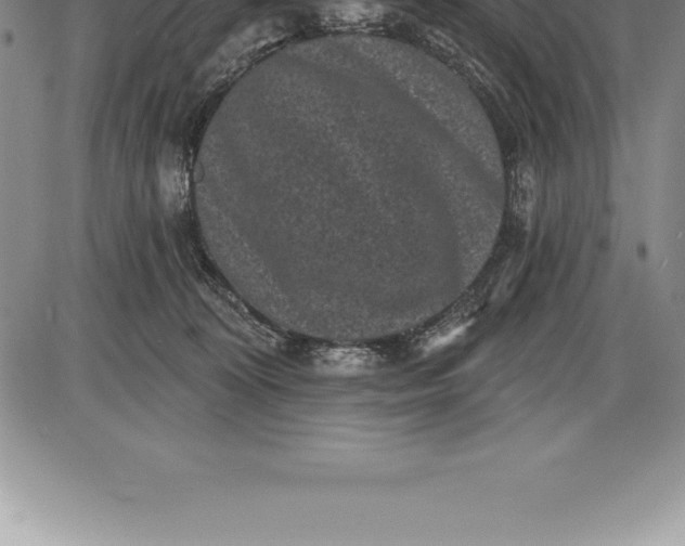 X0000085820324200703301600