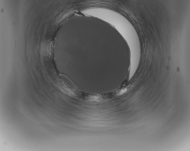 X0000085820325200703301600