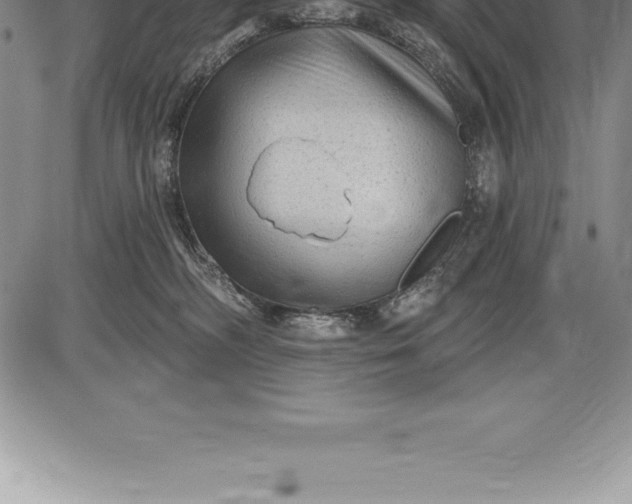 X0000085820326200703301600