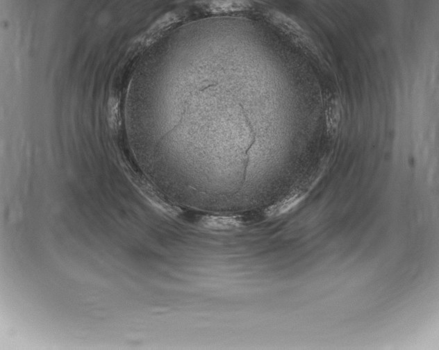 X0000085820327200703301600