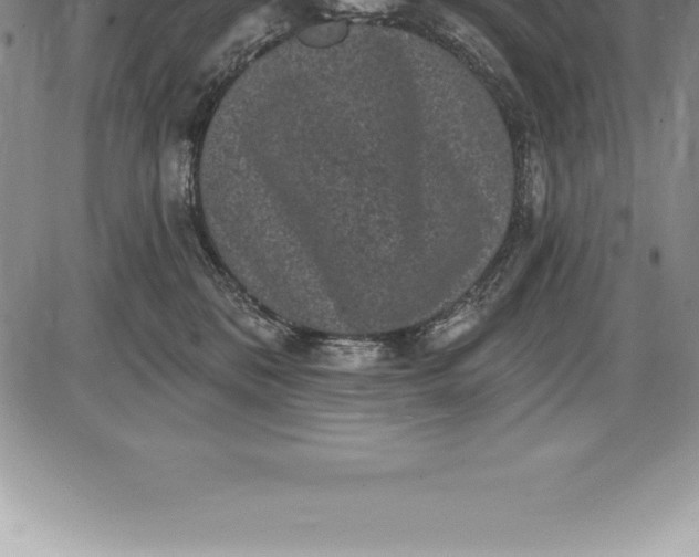 X0000085820328200703301600