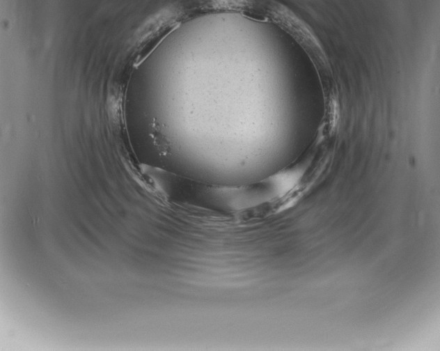 X0000085820329200703301600