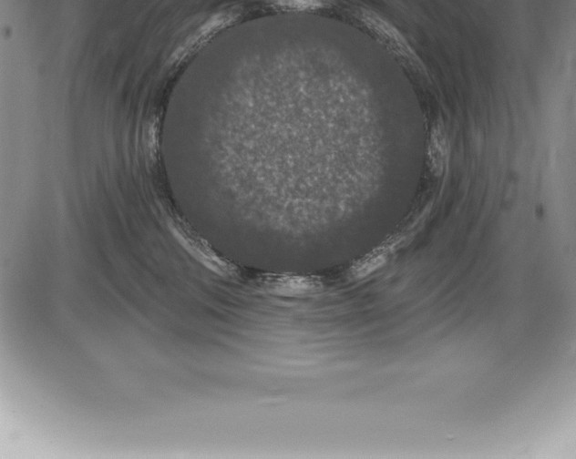 X0000085820330200703301600