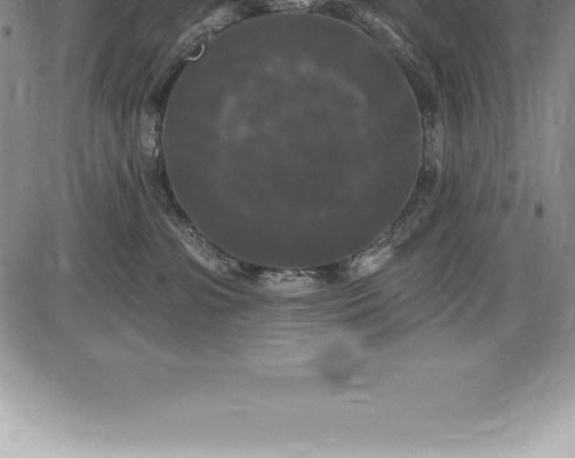 X0000085820331200703301600