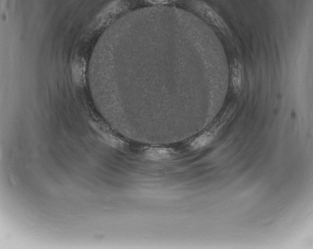 X0000085820332200703301600