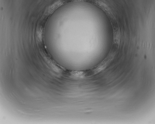 X0000085820334200703301600