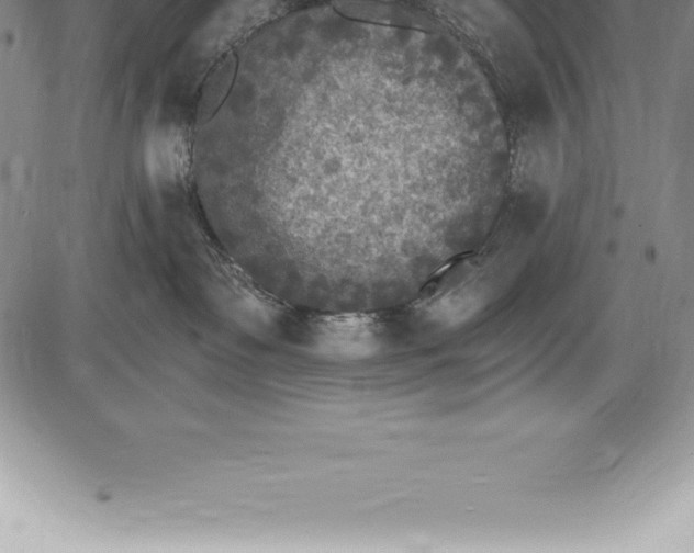 X0000085820335200703301600