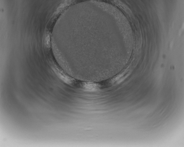 X0000085820336200703301600