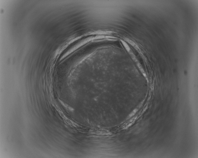 X0000085820337200703301559