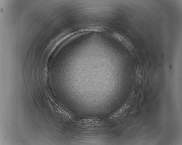 X0000085820338200703301559