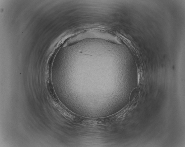 X0000085820339200703301559