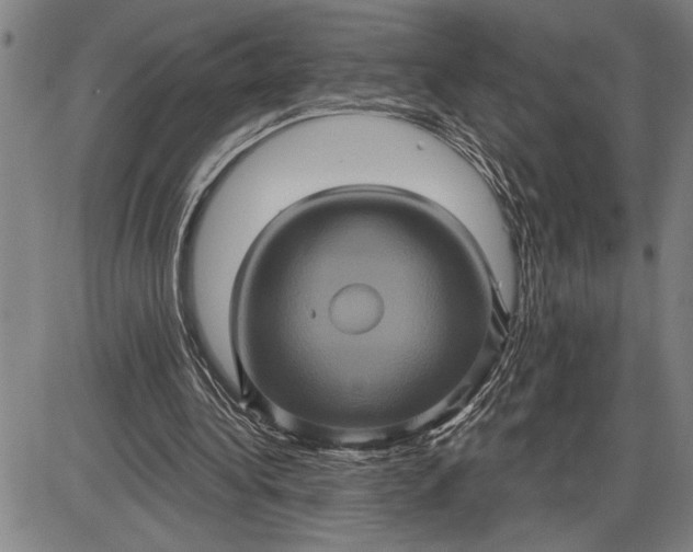 X0000085820340200703301559