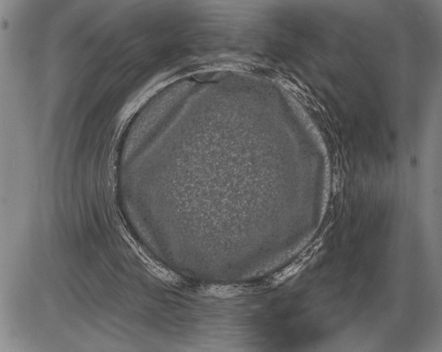 X0000085820341200703301559