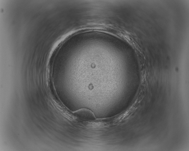 X0000085820342200703301559