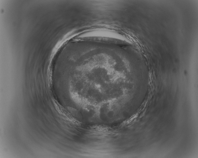 X0000085820343200703301559