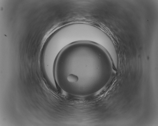 X0000085820344200703301559