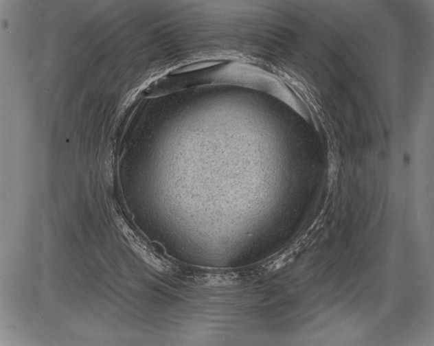 X0000085820345200703301559