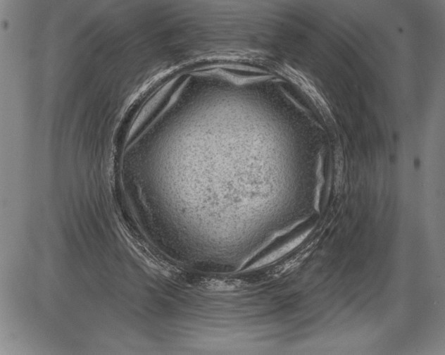 X0000085820346200703301559