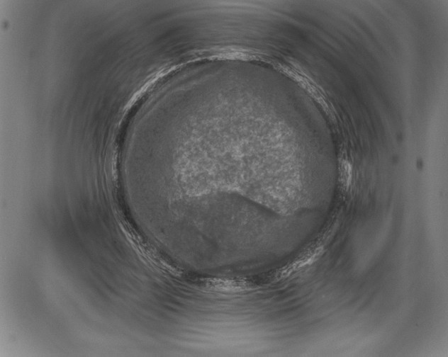 X0000085820347200703301559