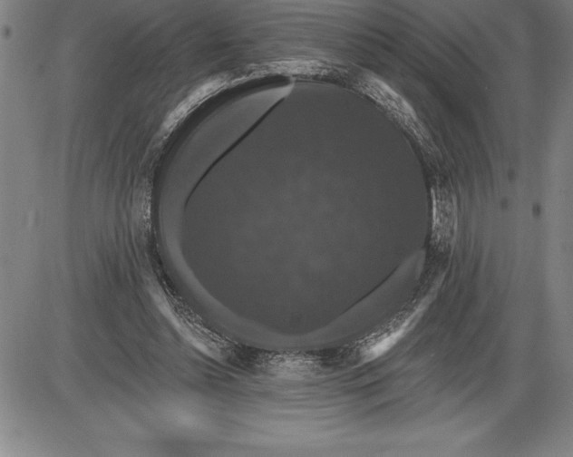 X0000085820348200703301559