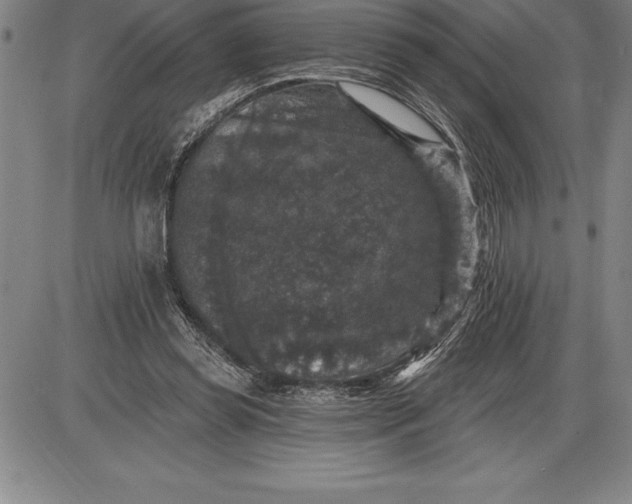 X0000085820349200703301559