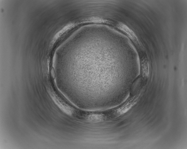 X0000085820350200703301559