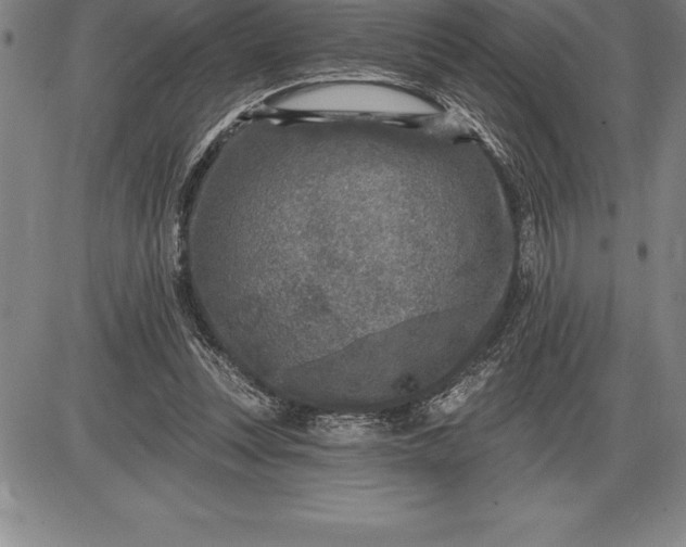 X0000085820351200703301559