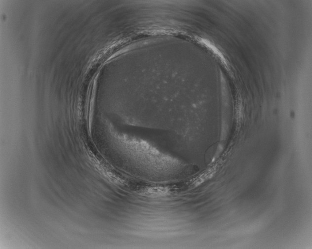 X0000085820353200703301559