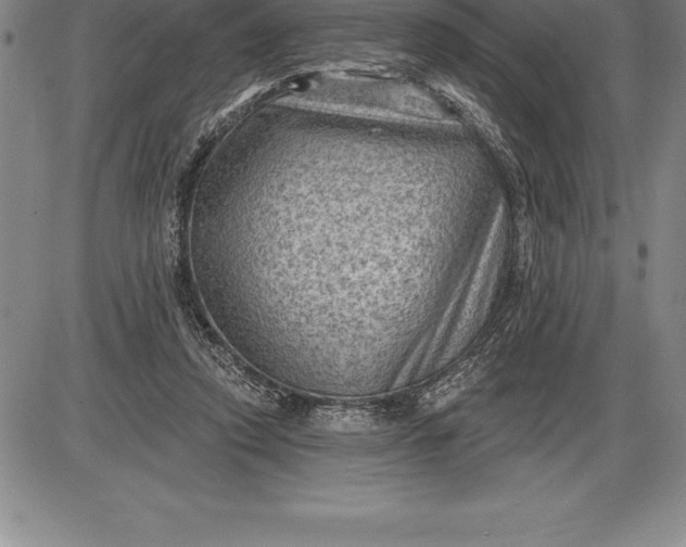 X0000085820354200703301559