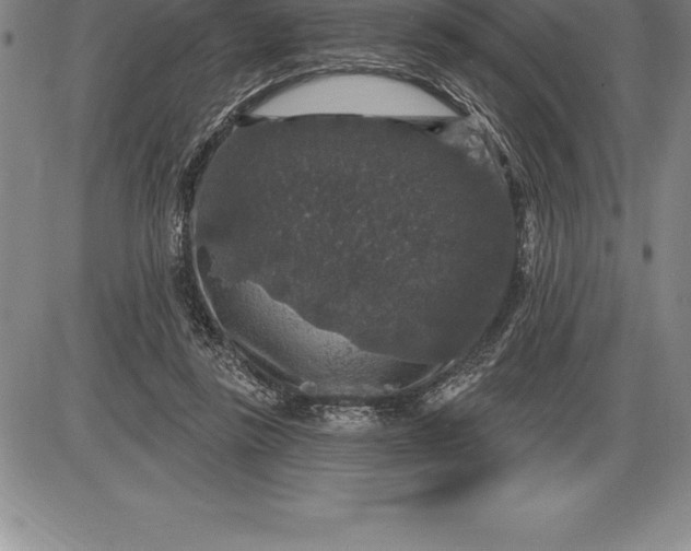 X0000085820355200703301559