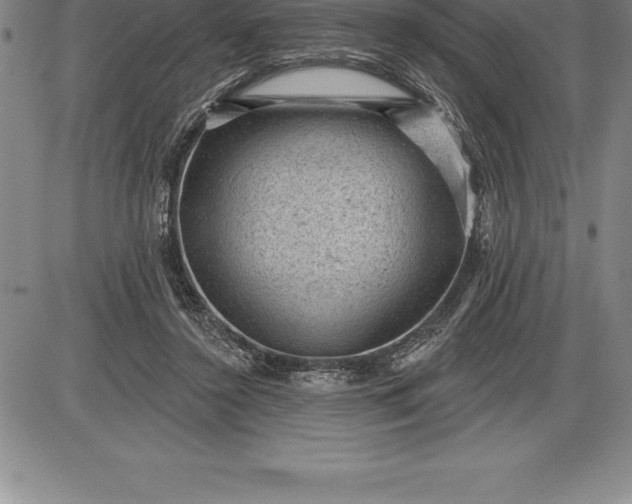 X0000085820356200703301559