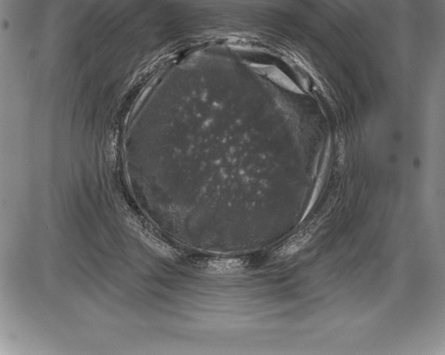 X0000085820357200703301559