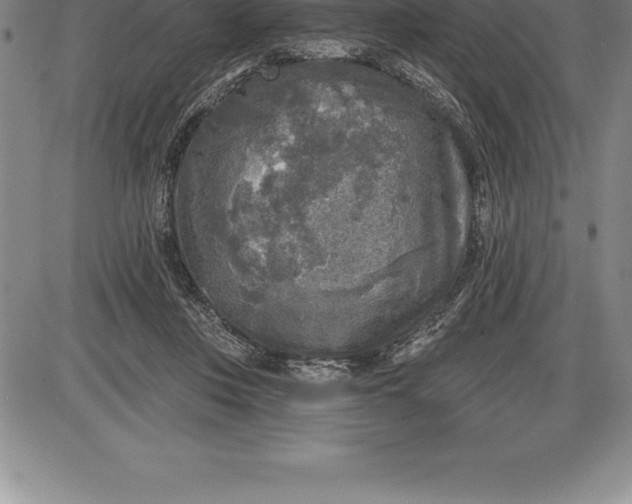 X0000085820359200703301559