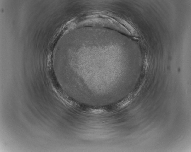 X0000085820360200703301559