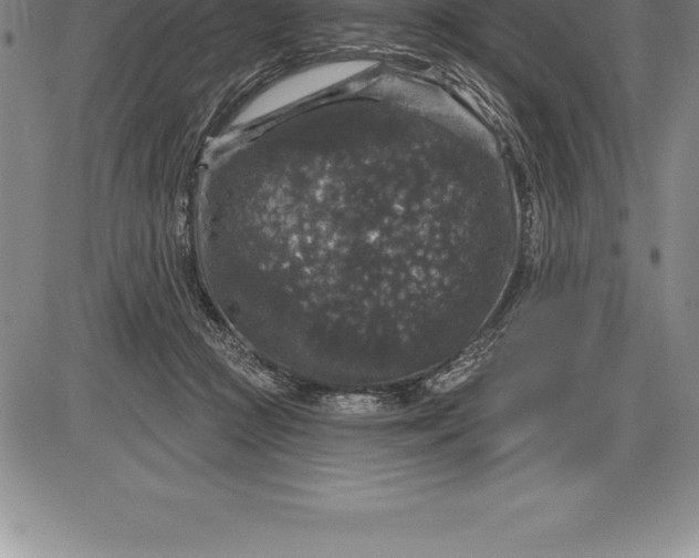 X0000085820361200703301559