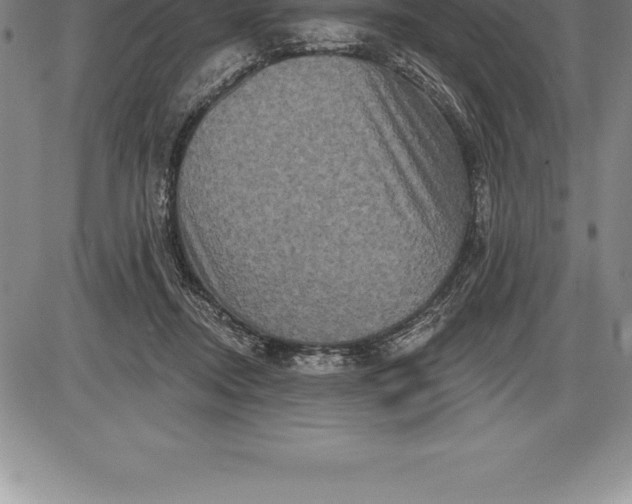 X0000085820362200703301559