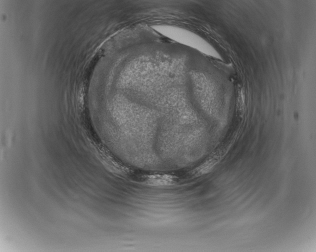 X0000085820363200703301559