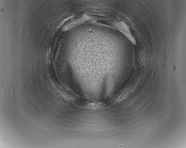 X0000085820364200703301559