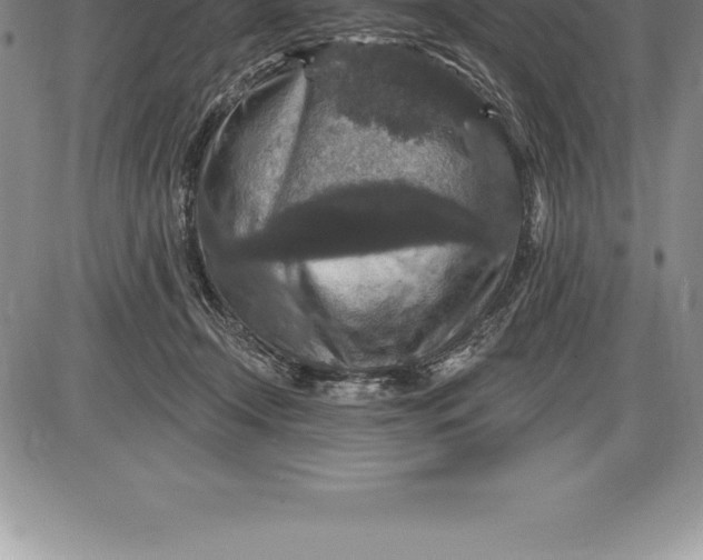 X0000085820366200703301559