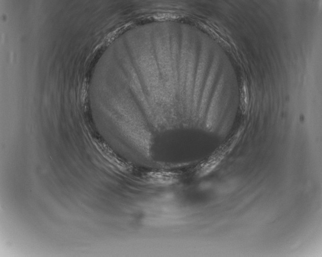 X0000085820367200703301559