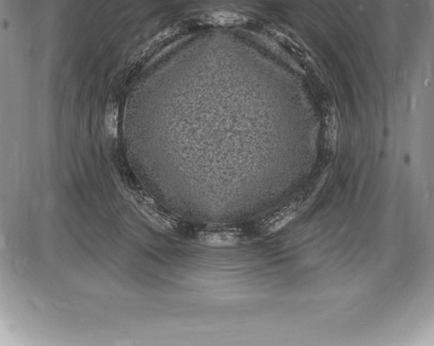 X0000085820368200703301559