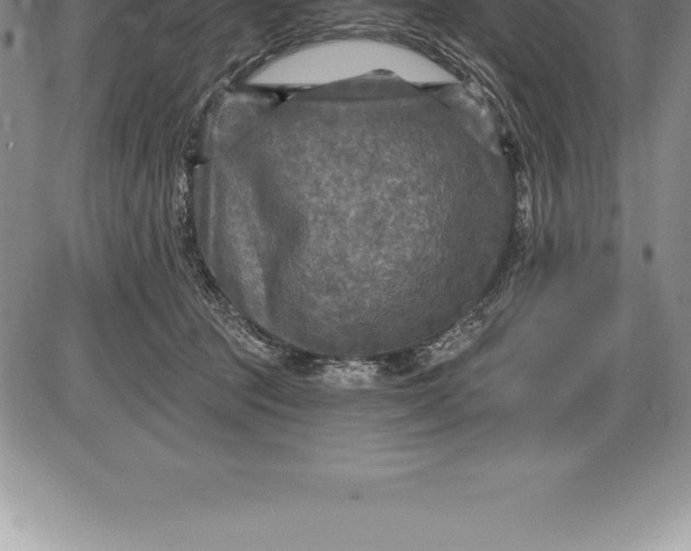 X0000085820369200703301559