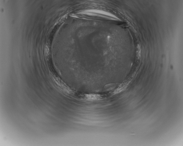 X0000085820371200703301559