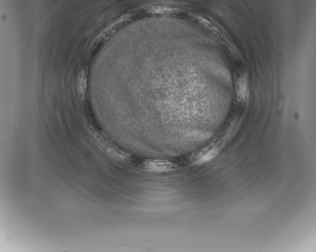 X0000085820372200703301559