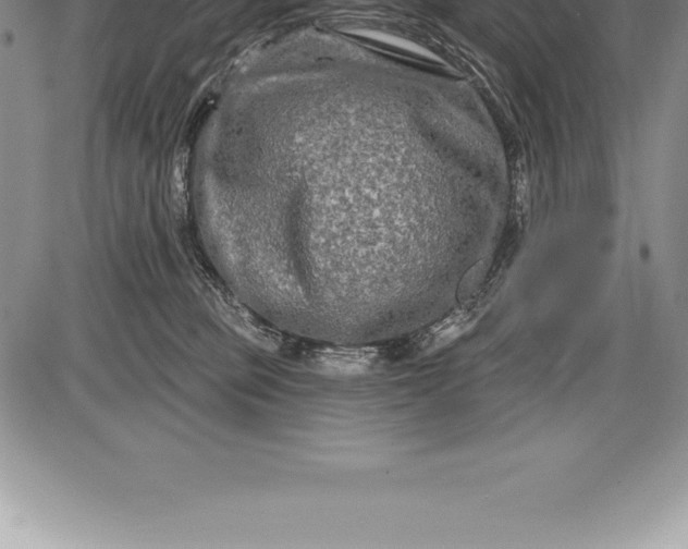 X0000085820373200703301559