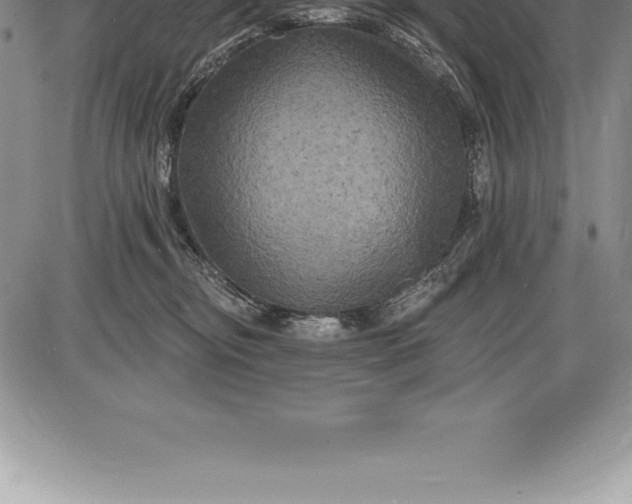 X0000085820374200703301559