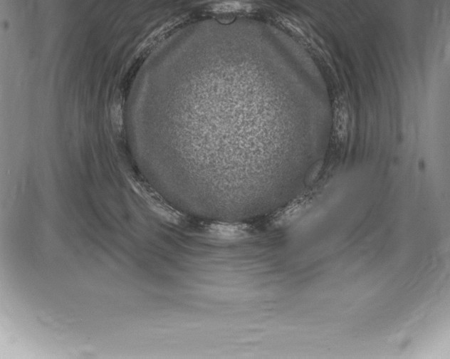 X0000085820375200703301559